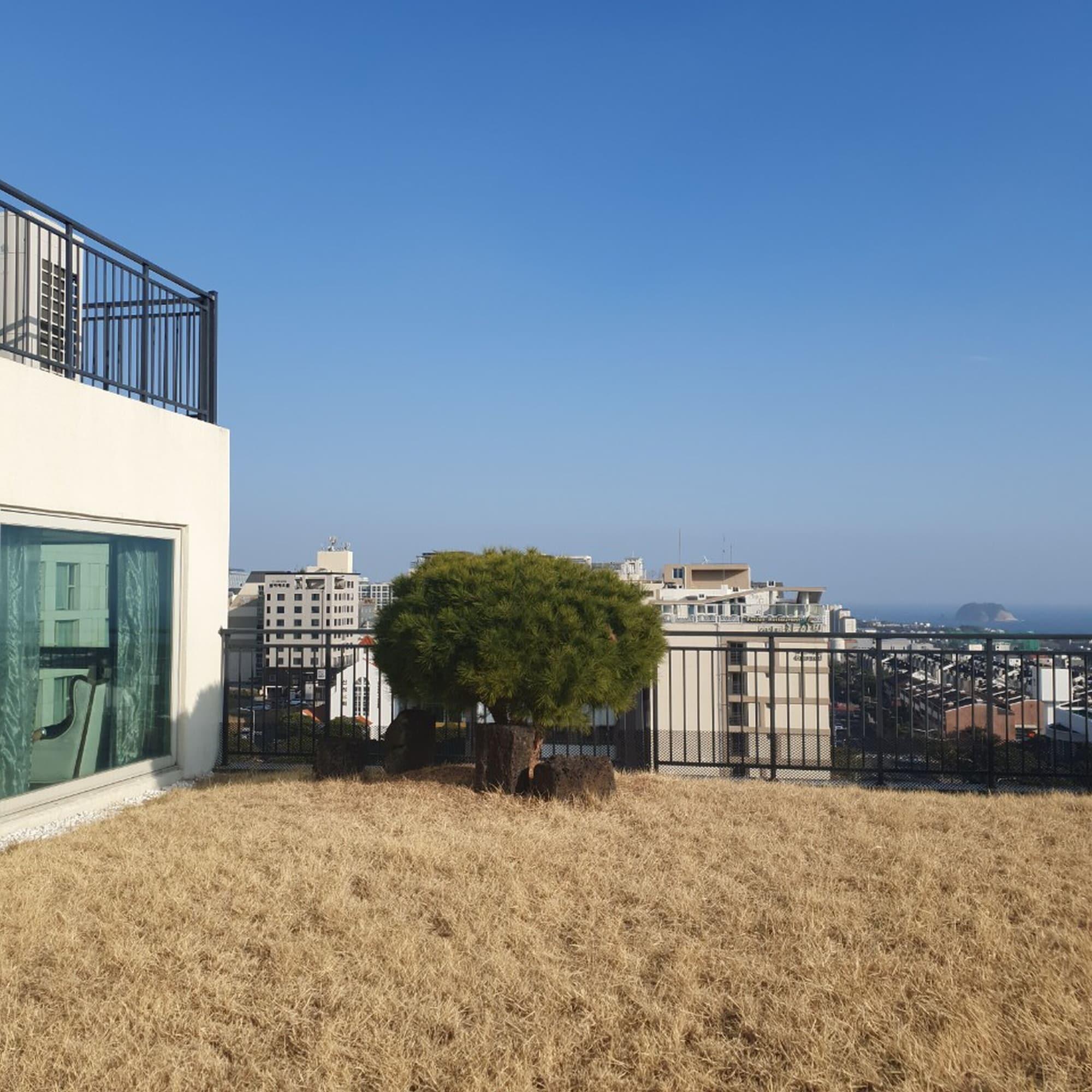 Bareve Hotel Seogwipo Exterior photo